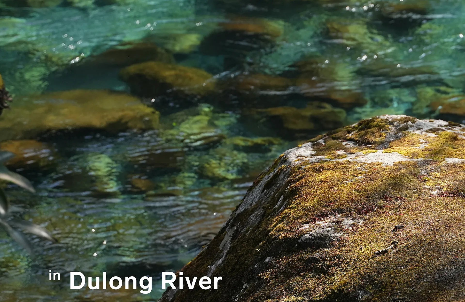 Dulong River