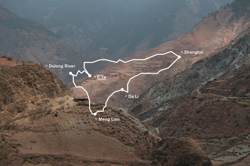 Alt text for the image