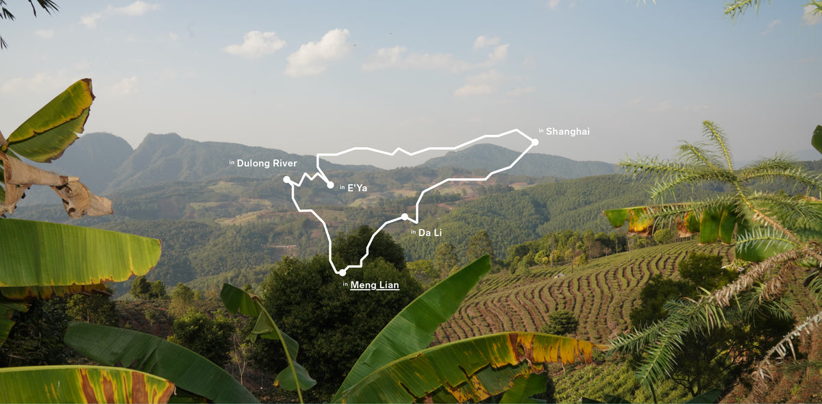 Alt text for the image